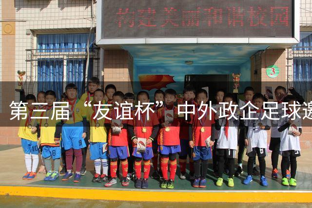 第三届“友谊杯”中外政企足球邀请赛在京开幕
